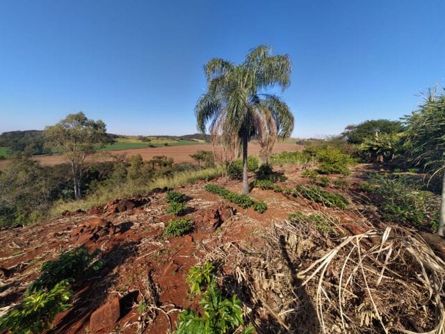 Foto do Chácara - CHACARA COM CASA E POÇO ARTESIANO Á VENDA EM CAMBIRA - ACEITA IMÓVEL EM APUCARANA COMO PARTE DO PAGAMENTO. | J. Mareze Imóveis Ltda