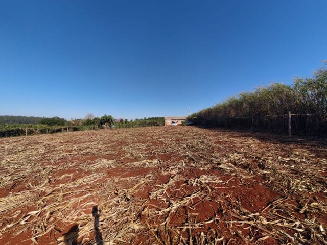 Foto do Chácara - CHACARA COM CASA E POÇO ARTESIANO Á VENDA EM CAMBIRA - ACEITA IMÓVEL EM APUCARANA COMO PARTE DO PAGAMENTO. | J. Mareze Imóveis Ltda