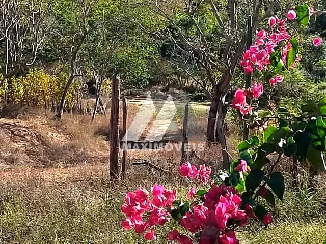 Fazenda com 2100000m², à venda, no bairro Zona Rural em Coronel Murta