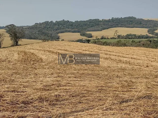 Chácara com 20000m², à venda, no bairro são luiz em Londrina