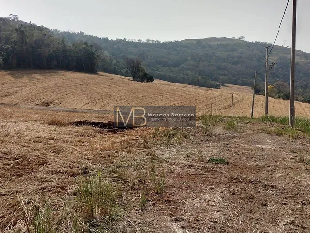 Chácara com 20000m², à venda, no bairro são luiz em Londrina