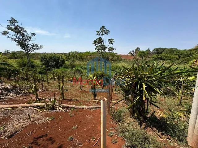 Chácara com 4086m² 3 quartos e 1 banheiro, à venda, no bairro Jardim Independência em Ituverava