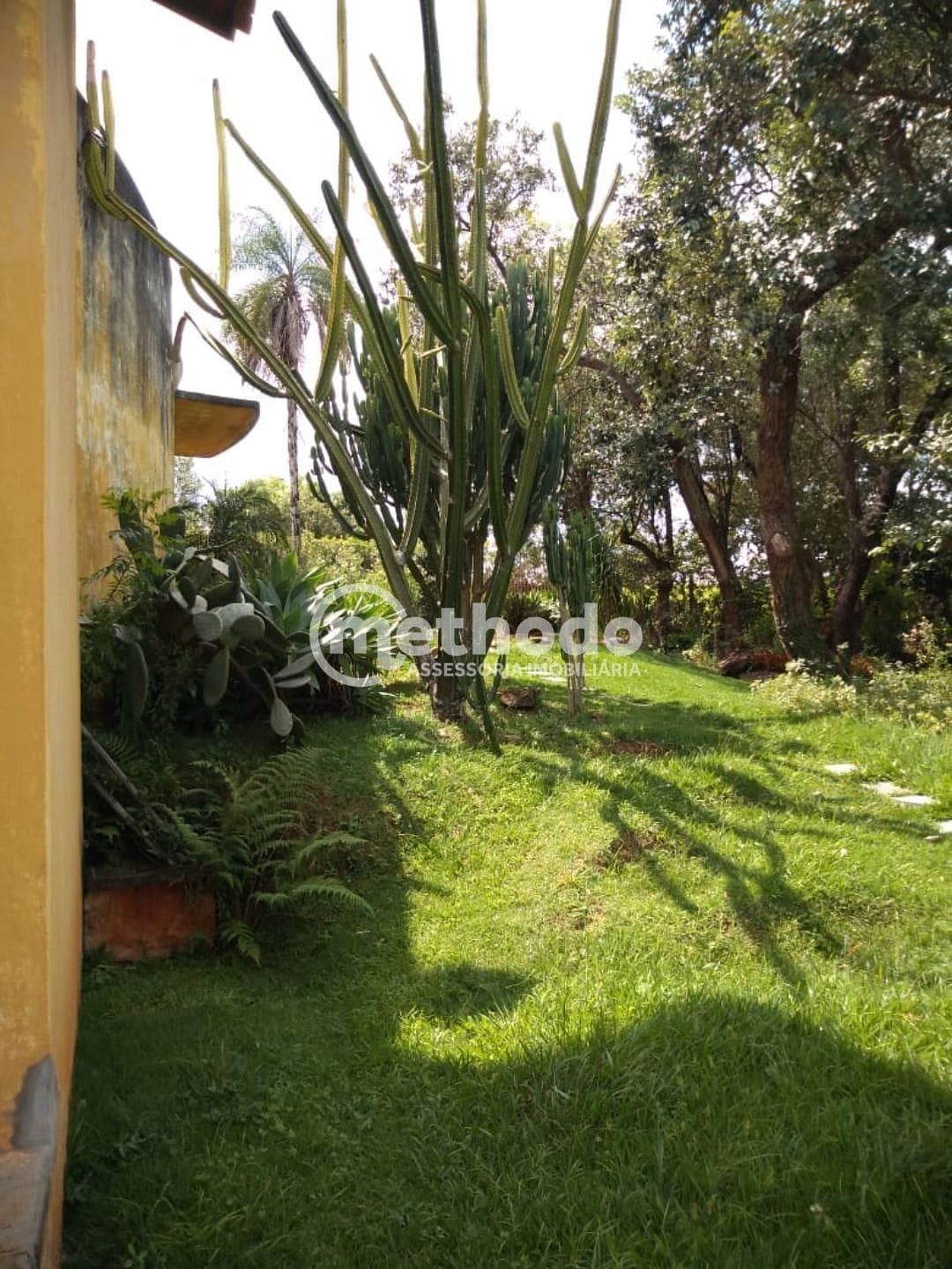 Sítio, 3 quartos, 10000 m² - Foto 19