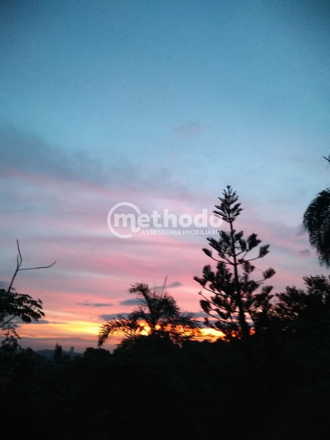 Sítio, 3 quartos, 10000 m² - Foto 23