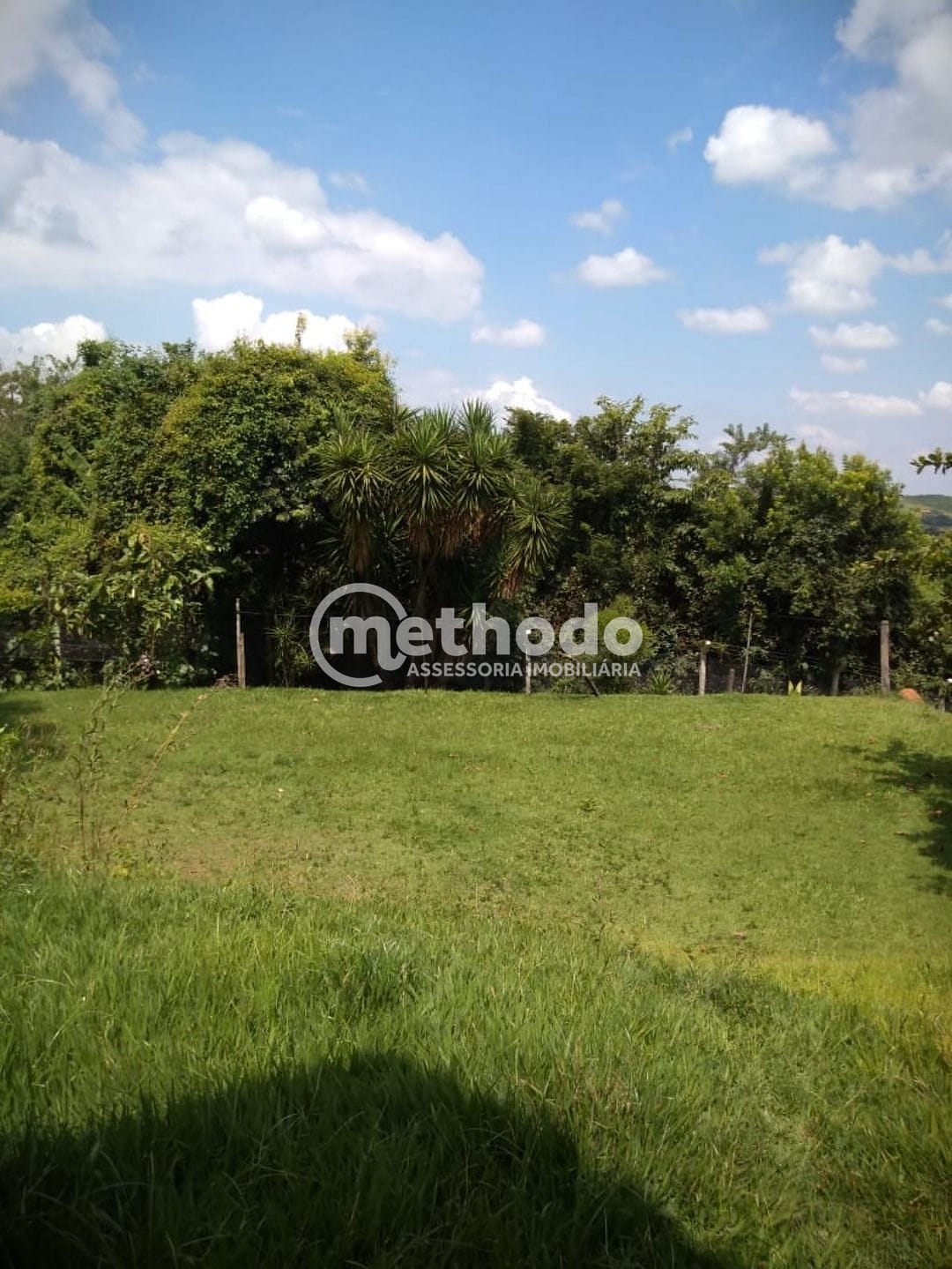 Sítio, 3 quartos, 10000 m² - Foto 18