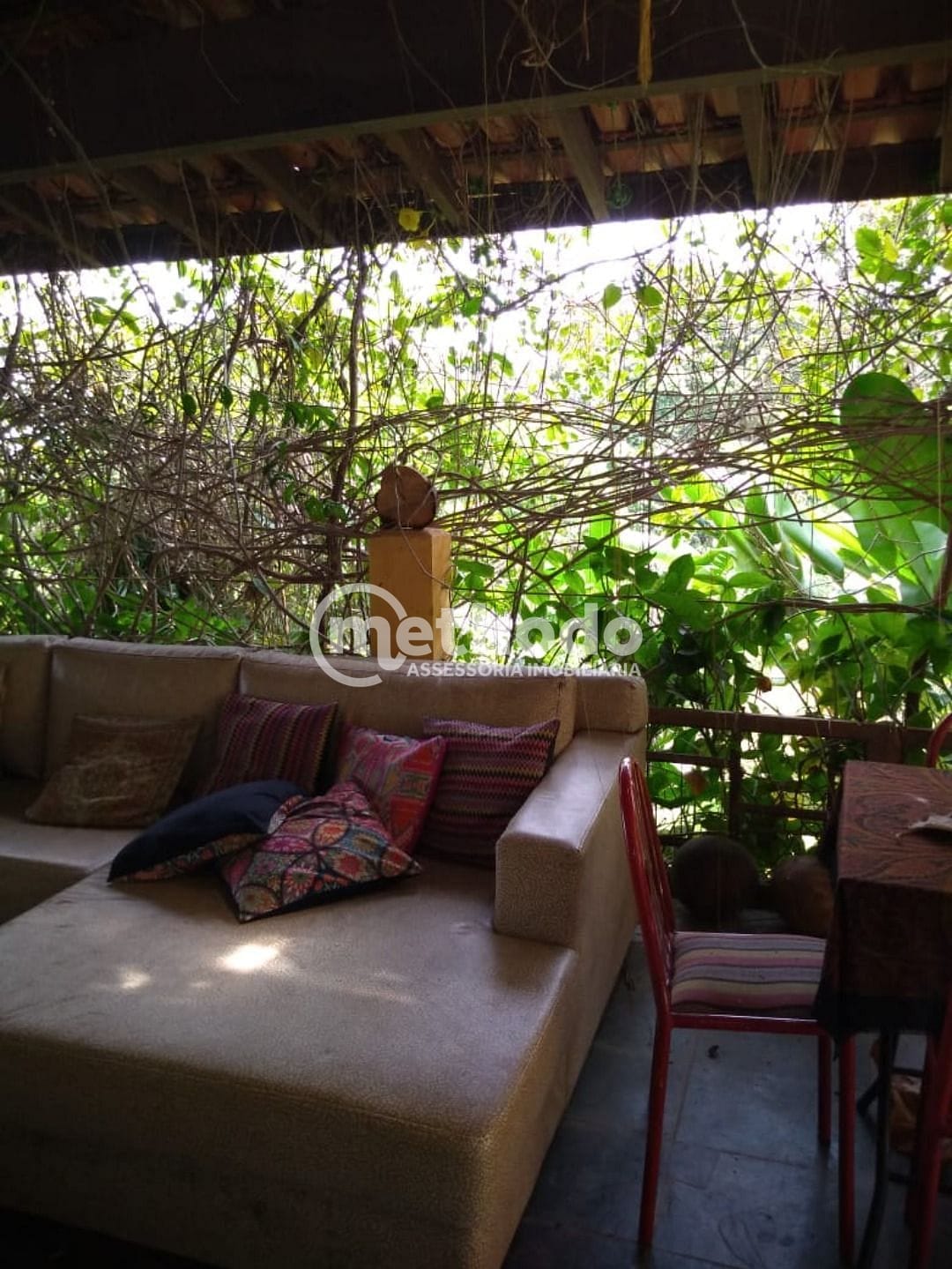 Sítio, 3 quartos, 10000 m² - Foto 13