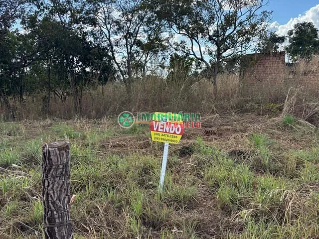 Chácara com 5000m², à venda, no bairro Zona rural em Canarana