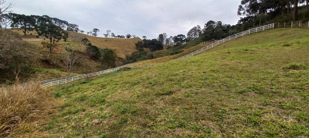 Rural / Chácara no Monteiro — foto 9