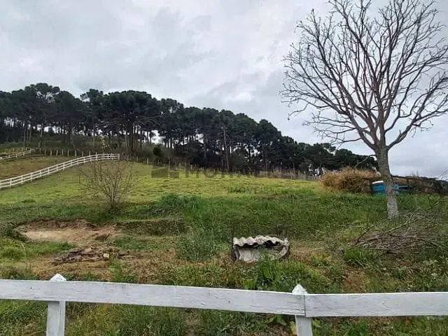 Chácara com 4424m², à venda, no bairro Monteiro em Delfim Moreira