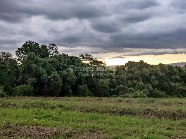 Sítio à venda, no bairro Área Rural de Artur Nogueira em Artur Nogueira