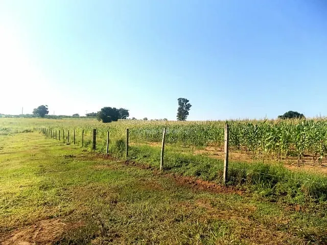 Sítio à venda, no bairro Área Rural de Artur Nogueira em Artur Nogueira