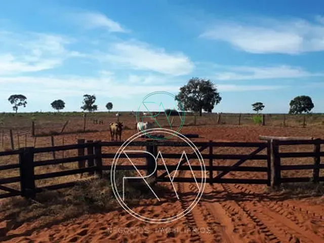 Fazenda com 23000000m² 1 quarto e 1 banheiro, à venda, no bairro Zona Rural em Camapuã