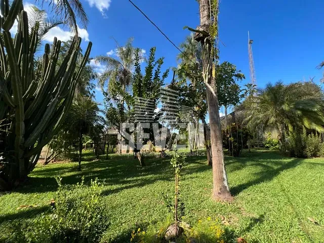 Chácara com 40000m² 2 quartos e 3 banheiros, à venda, no bairro Jardim Vitoria em Arealva
