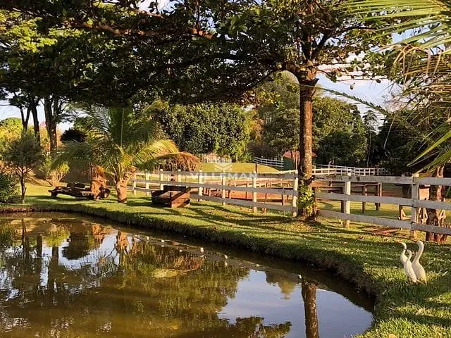 Chácara com 36000m² 3 quartos e 4 banheiros, à venda, no bairro Distrito de Iguatemi (Iguatemi) em Maringá
