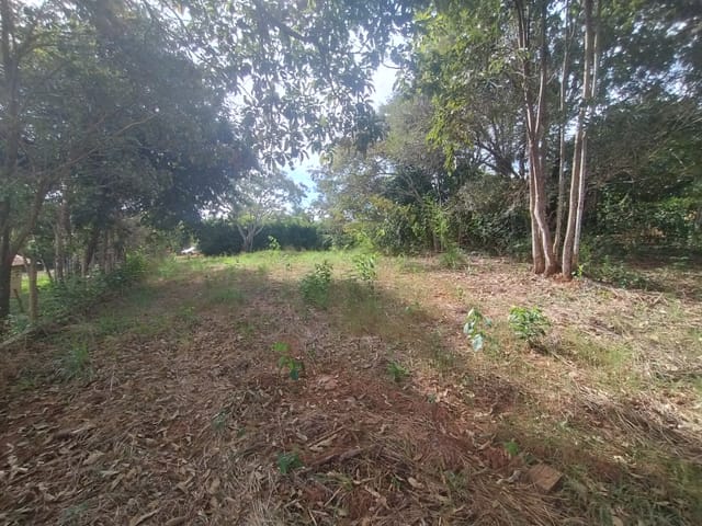 Chácara com 2045m² 1 quarto e 1 banheiro, à venda, no bairro Recanto D´italia em Santo Antônio De Goiás