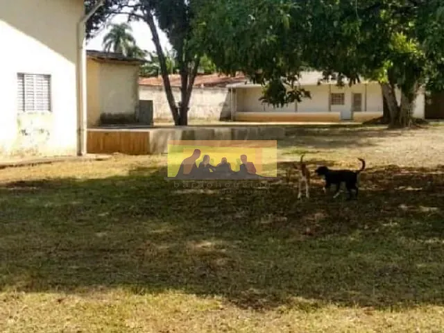 Chácara com 2356m² 1 quarto e 1 banheiro, à venda, no bairro Chácara Hollândia em Campinas