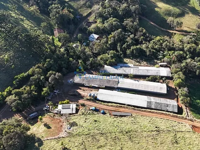 Chácara com 30000m², à venda, no bairro ZONA RURAL em Saudade do Iguaçu