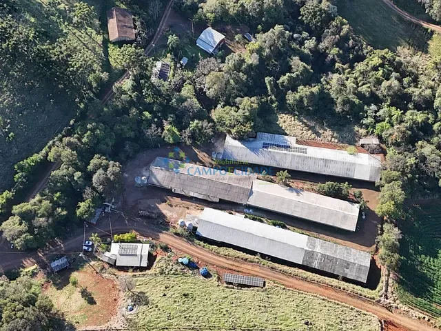 Chácara com 30000m², à venda, no bairro ZONA RURAL em Saudade do Iguaçu