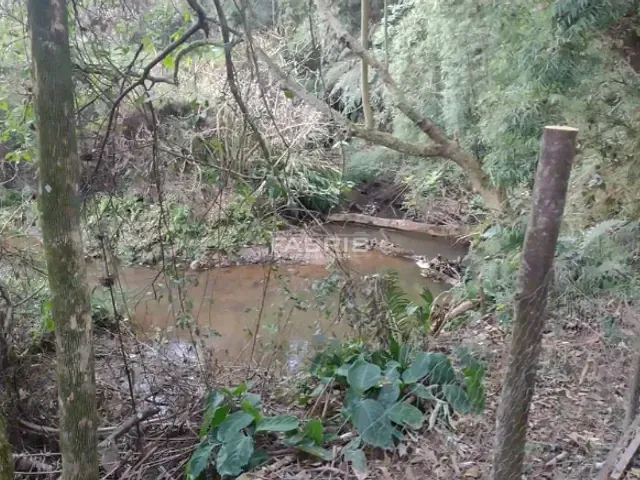 Chácara 3 quartos e 6 banheiros, à venda, no bairro Campestrinho em Araucária
