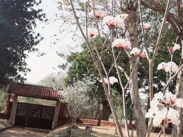 Chácara com 4136m² 3 quartos e 2 banheiros, à venda, no bairro Est Jomar Costa em Pereiras