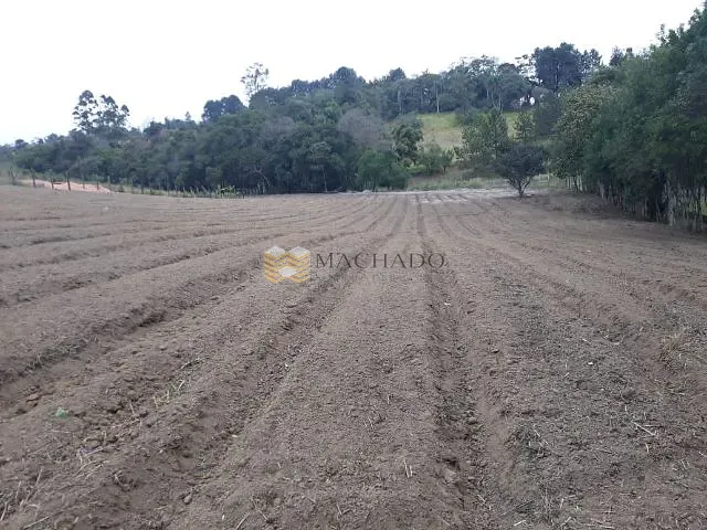 Chácara com 10000m², à venda, no bairro centro  em Ibiúna