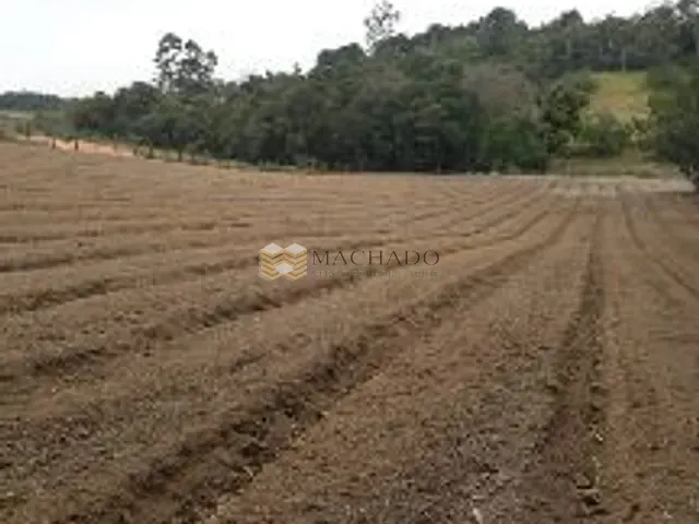 Chácara com 10000m², à venda, no bairro centro  em Ibiúna