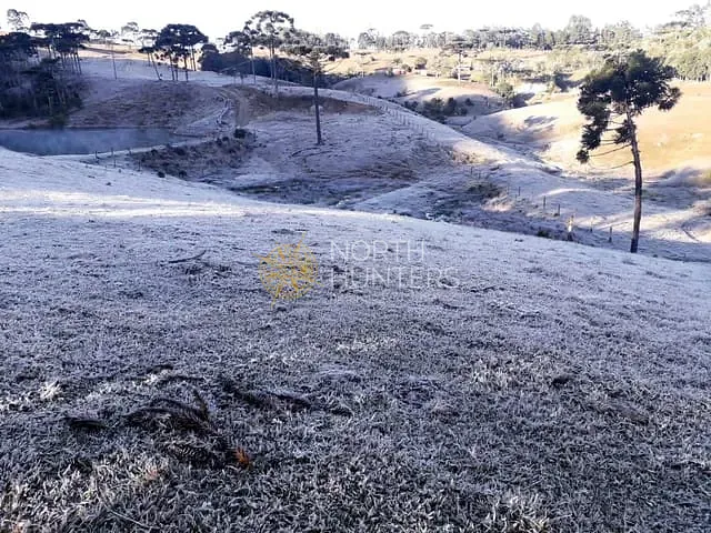 Chácara com 222500m² 2 quartos e 1 banheiro, à venda, no bairro Rio Vermelho Estação em São Bento do Sul