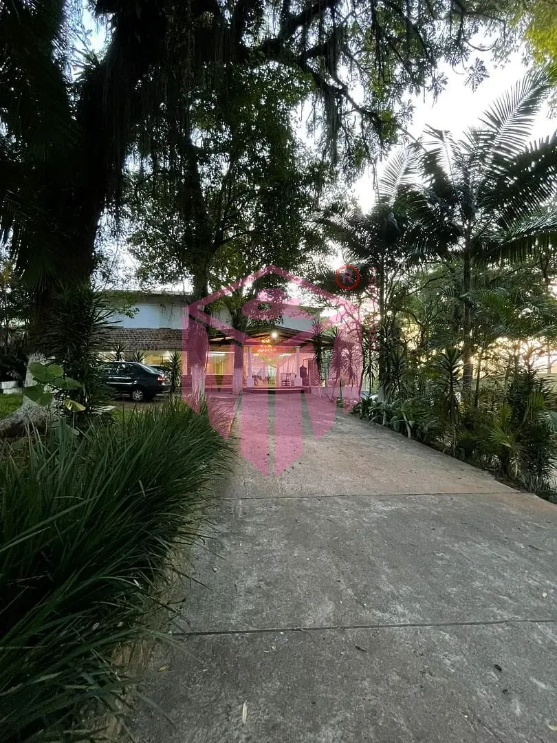 Sítio, 1 quarto, 2186 m² - Foto 22