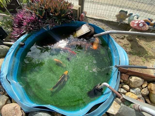 Foto do Chácara - Chácara Completa com Piscina e Energia Solar à venda, Bairro Costeira, Balneário Barra do Sul, SC | North Center