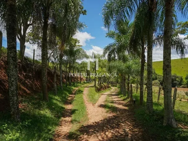 Chácara com 89000m² 5 quartos e 4 banheiros, à venda, no bairro Centro em Socorro