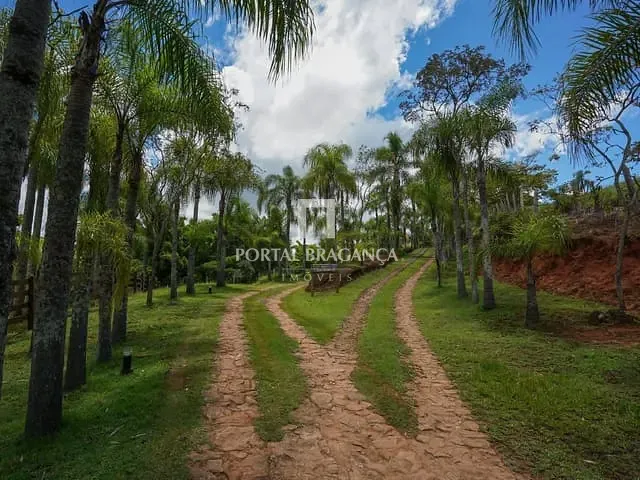 Chácara com 89000m² 5 quartos e 4 banheiros, à venda, no bairro Centro em Socorro