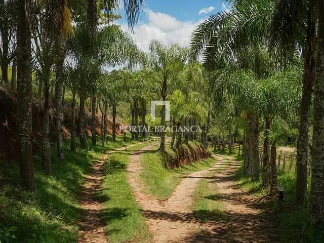 Chácara com 89000m² 5 quartos e 4 banheiros, à venda, no bairro Centro em Socorro