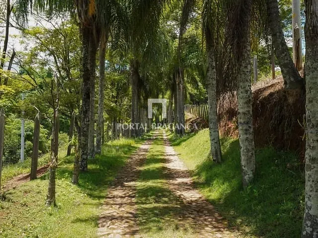 Chácara com 89000m² 5 quartos e 4 banheiros, à venda, no bairro Centro em Socorro