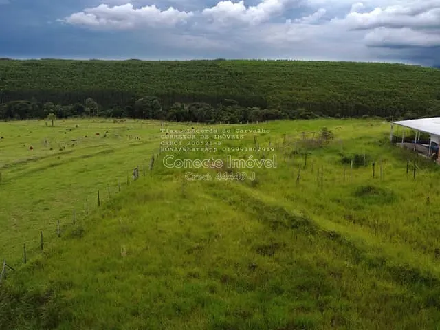 Chácara com 67000m² 1 quarto e 1 banheiro, à venda, no bairro Área Rural de Artur Nogueira em Artur Nogueira