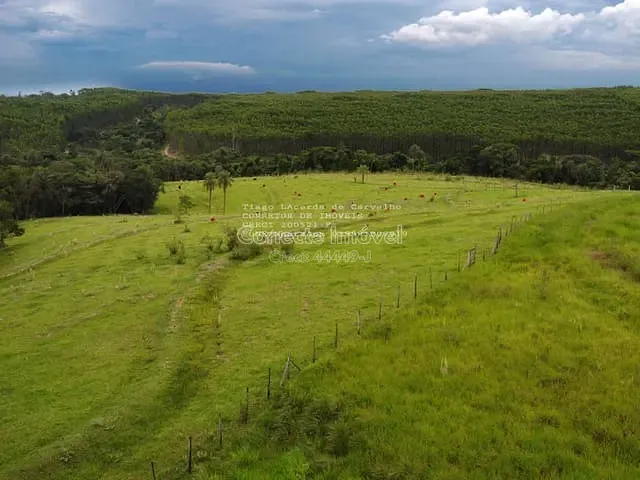 Chácara com 67000m² 1 quarto e 1 banheiro, à venda, no bairro Área Rural de Artur Nogueira em Artur Nogueira