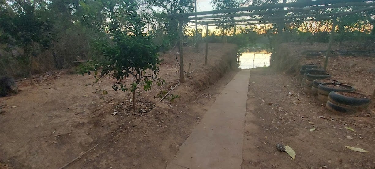 Rancho com três mil metros à venda a poucos quilômetros da cidade de Três Marias, MG ás margens do Rio São Francisco, ideal para pescadores. Todo mobiliado miniatura 7