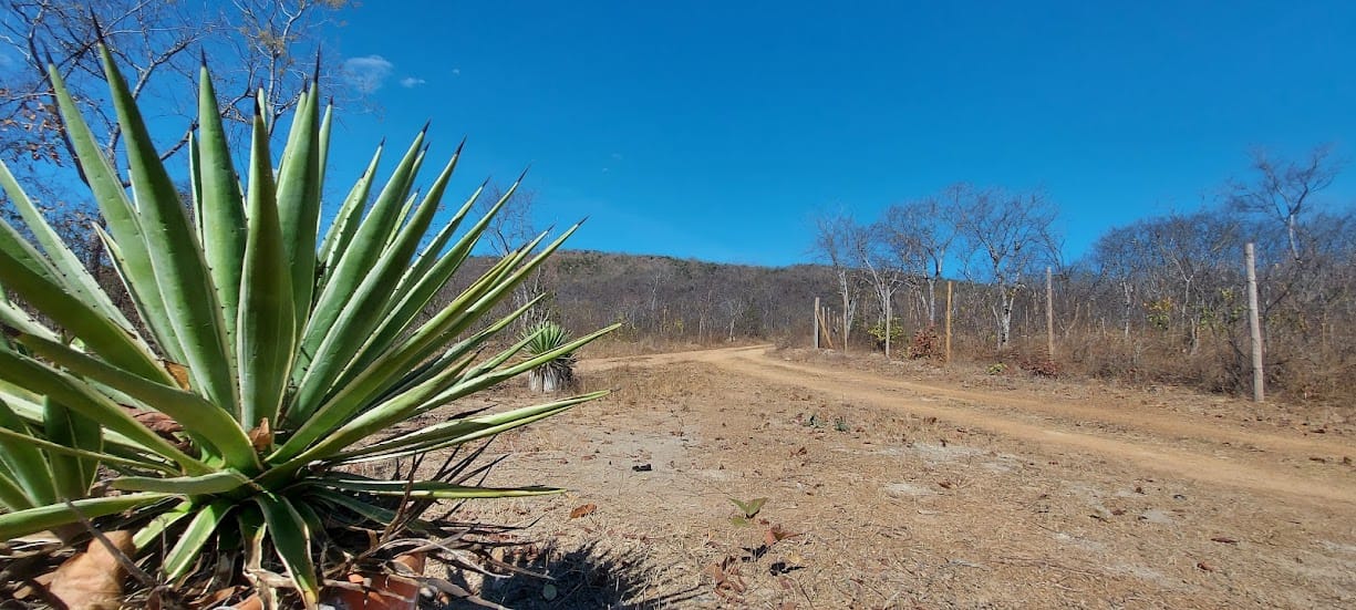 Rancho com três mil metros à venda a poucos quilômetros da cidade de Três Marias, MG ás margens do Rio São Francisco, ideal para pescadores. Todo mobiliado miniatura 3
