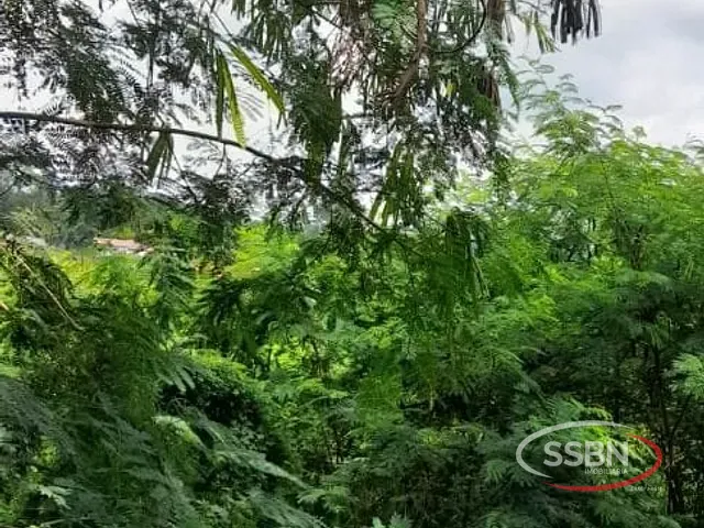Chácara com 5200m², à venda, no bairro Chácaras de Recreiro Represa em Nova Odessa