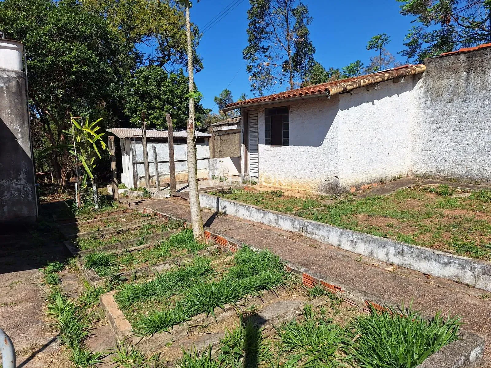 Sítio, 3 quartos, 10 m² - Foto 24