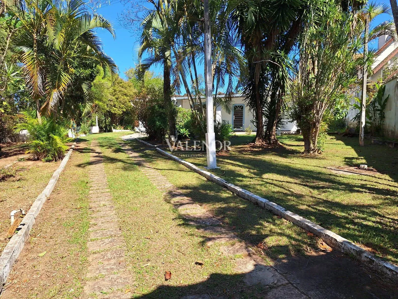 Sítio, 3 quartos, 10 m² - Foto 27