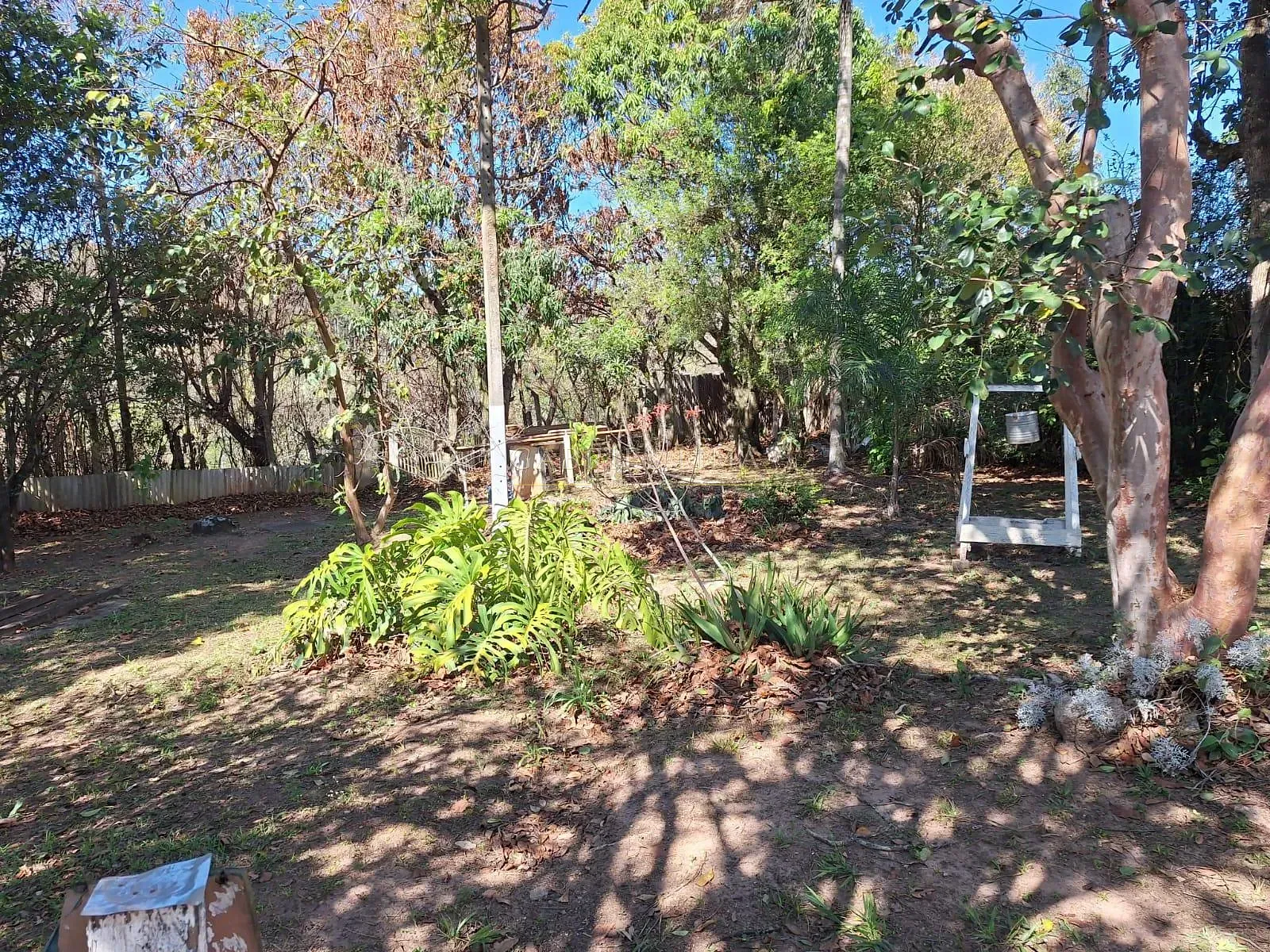 Sítio, 3 quartos, 10 m² - Foto 20