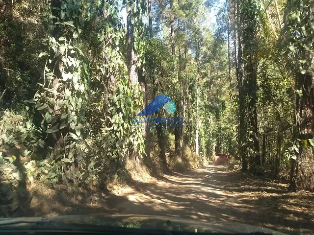 Chácara com 9000m² 2 quartos e 1 banheiro, à venda, no bairro Jardim Torrão de Ouro em São José dos Campos
