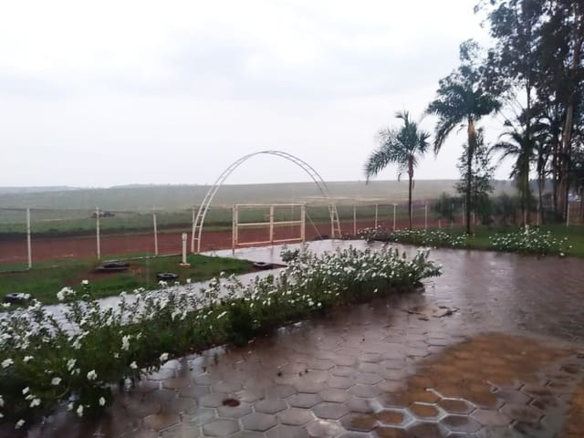 Foto do Chácara - Fazenda à venda em Chapadão do Céu | ApêHouse | Imobi