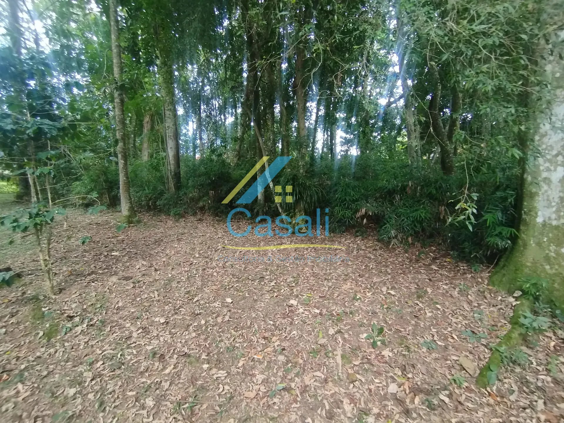 Sítio, 9 quartos, 6000 m² - Foto 19