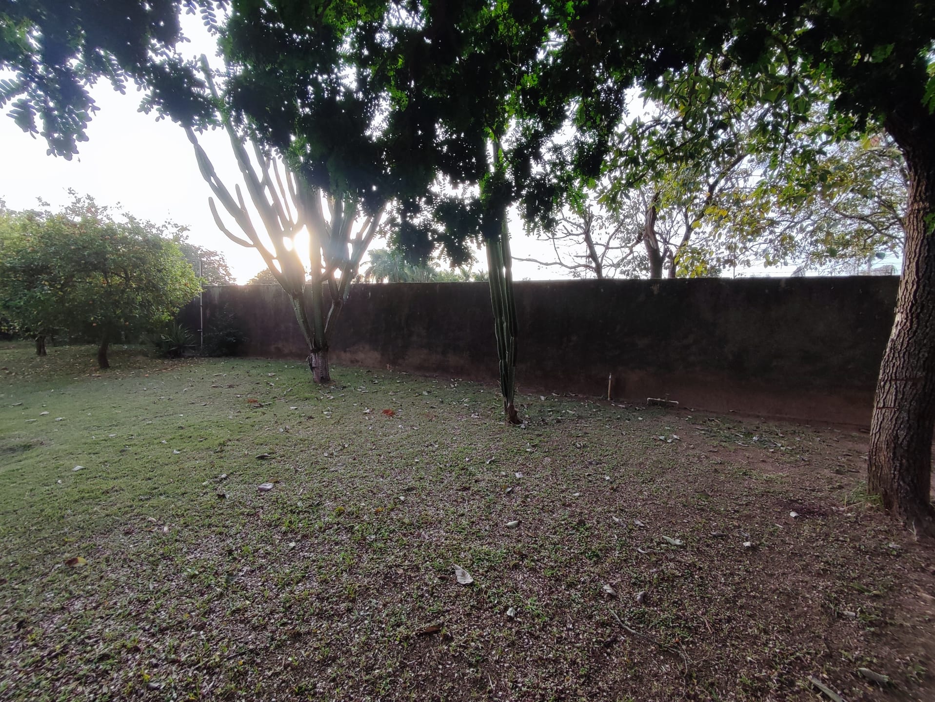 Chácara, 5 quartos, 2370 m² - Foto 12