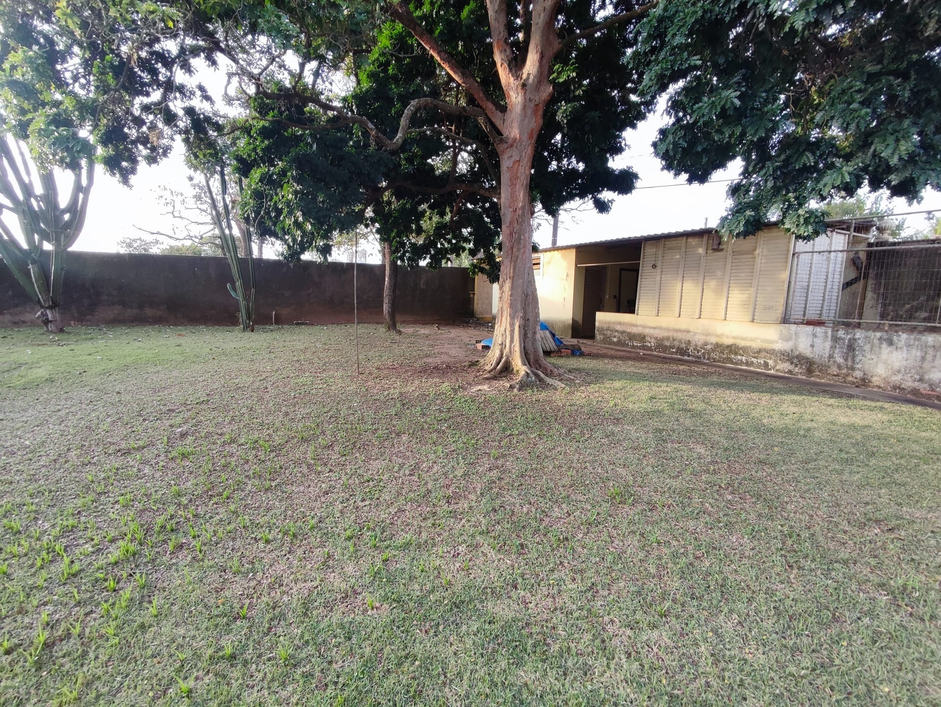 Chácara, 5 quartos, 2370 m² - Foto 30