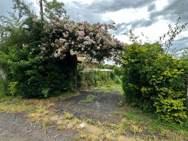 Chácara com 3000m² 1 quarto e 1 banheiro, à venda, no bairro Loiola em Limeira