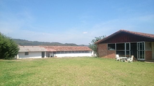 Foto do Chácara - Fazenda à venda, REFLORESTAMENTO e gado, ÁREA DOBRADA, 52 alqueires, 125 hectares, Zona Rural, Itambé, PR | Imobiliária GreenVille