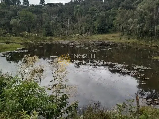 Chácara com 57430m² 3 quartos e 2 banheiros, à venda, no bairro Centro em Campo Alegre