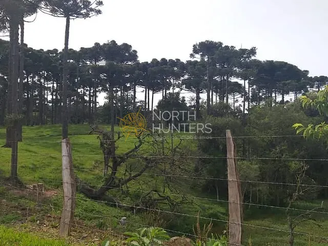 Chácara com 57430m² 3 quartos e 2 banheiros, à venda, no bairro Centro em Campo Alegre